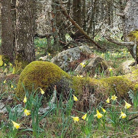 Gites La Boletiere Saint-Étienne-du-Valdonnez Eksteriør bilde