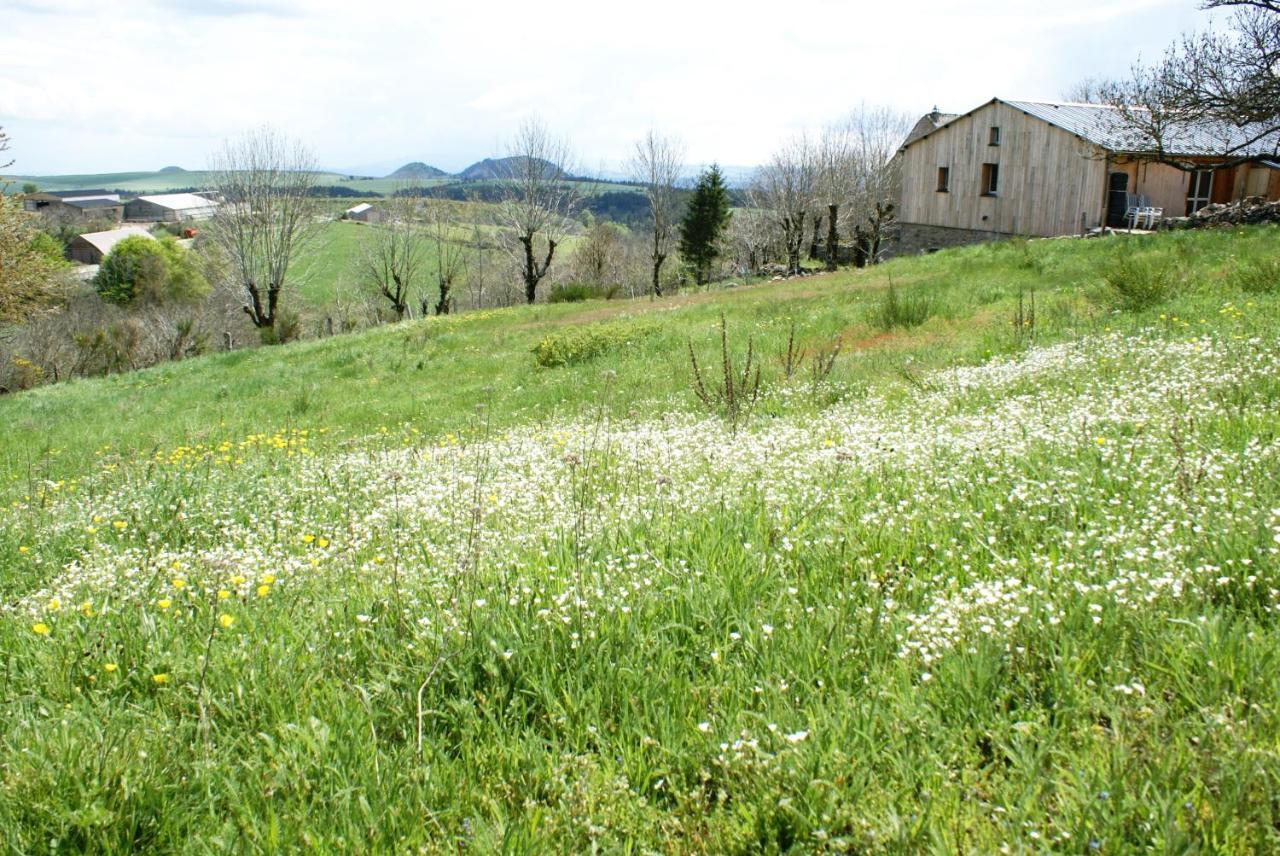 Gites La Boletiere Saint-Étienne-du-Valdonnez Eksteriør bilde